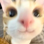 Profile picture of LINE-36.thitaree