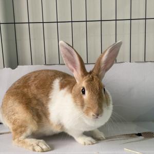 Profile picture of LINE-dphatthiya