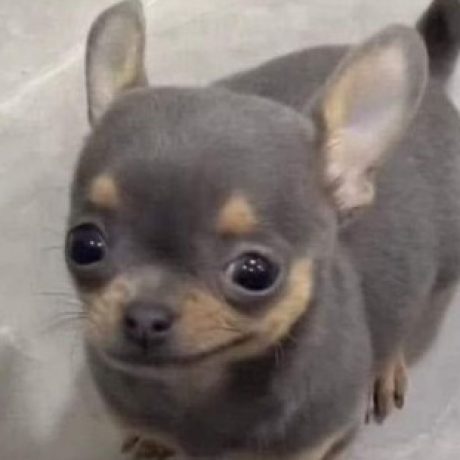 Profile picture of พรนภัส สมสุข