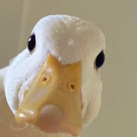 Profile picture of line-creamy.lert